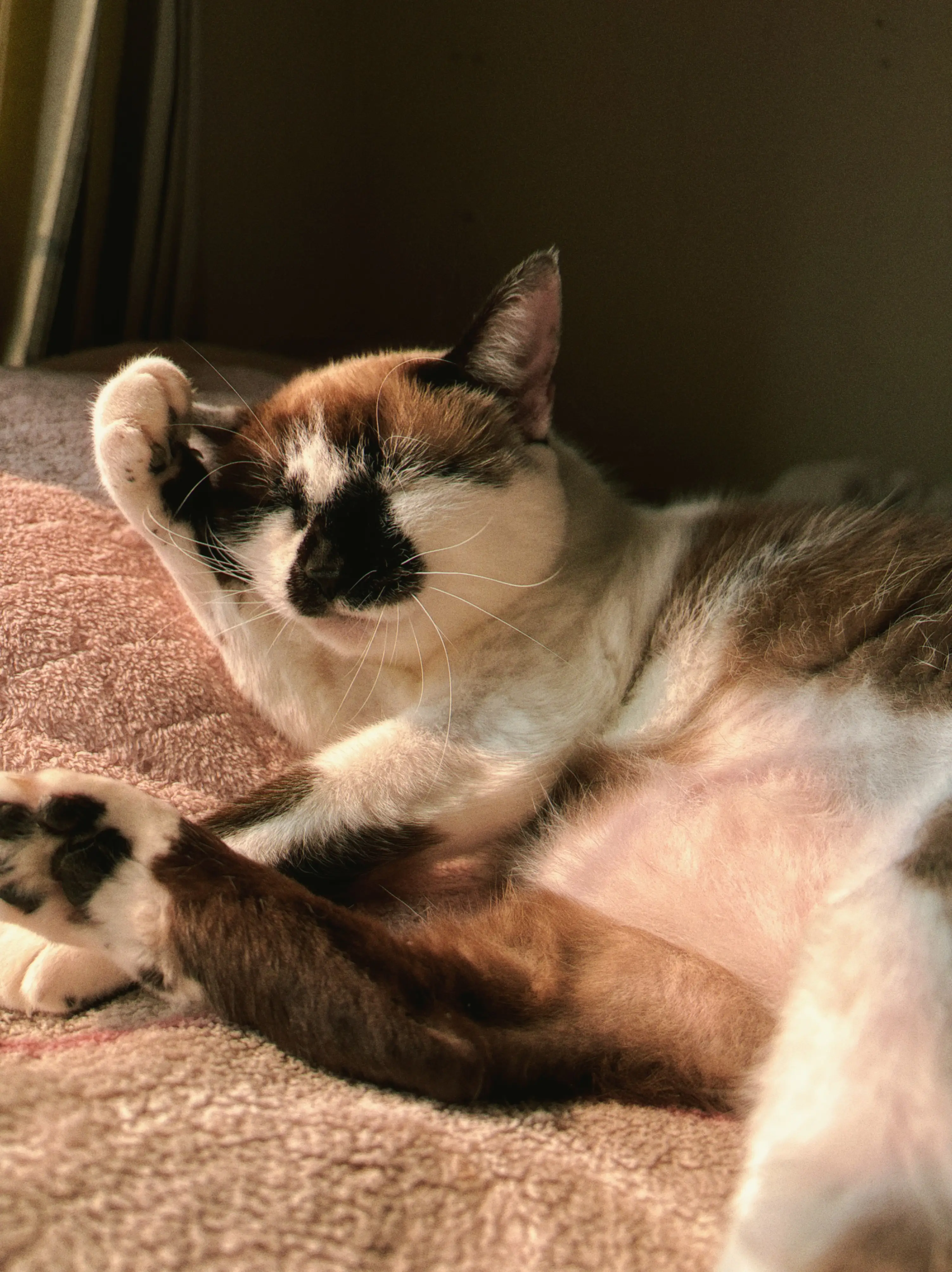 Mia